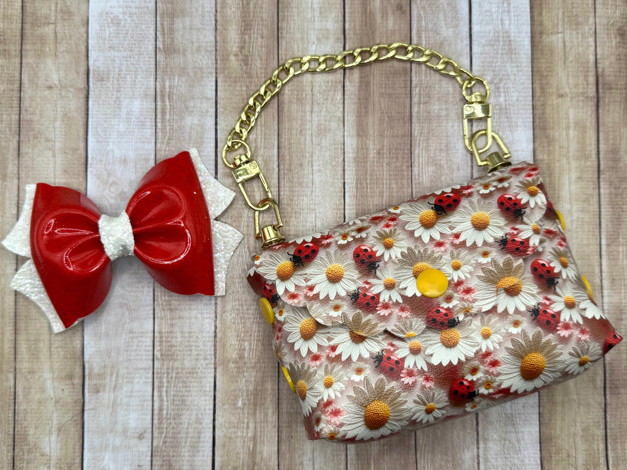 Ladybug Purse & Bow Set